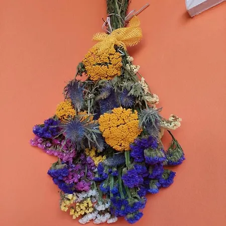 Mexicana Yellow Ζαντάρ