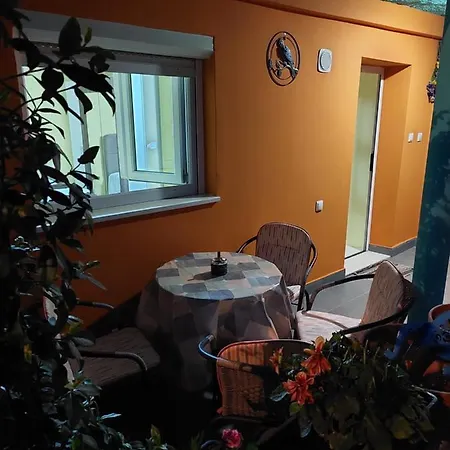 Mexicana Yellow Appartement Zadar