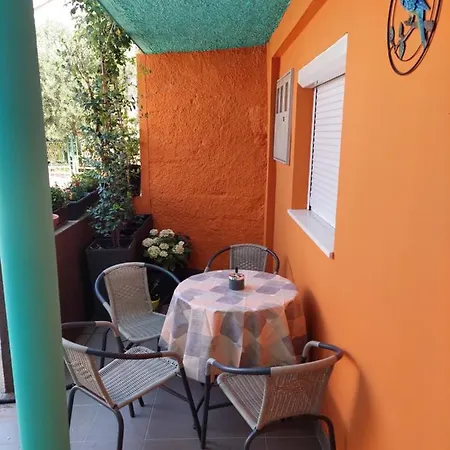 Mexicana Yellow Ζαντάρ