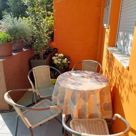 Mexicana Yellow * Ζαντάρ