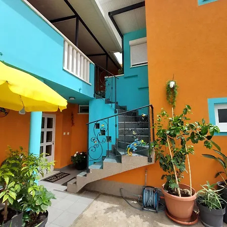 Mexicana Yellow