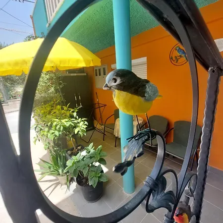 Mexicana Yellow Διαμέρισμα