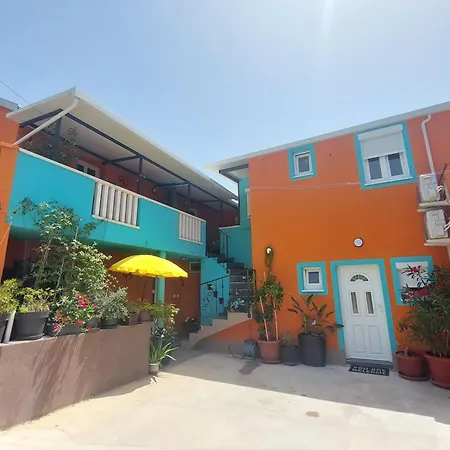 Mexicana Yellow * Задар