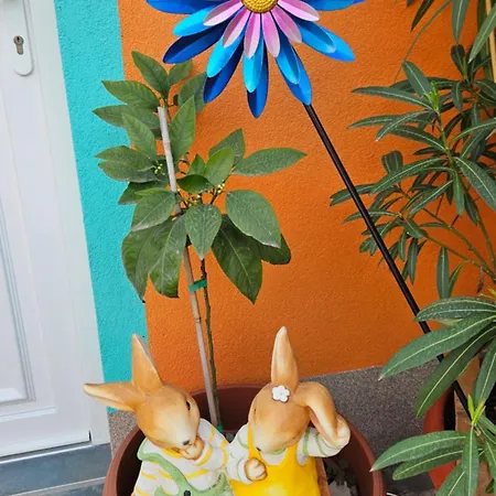 Mexicana Yellow זאדאר