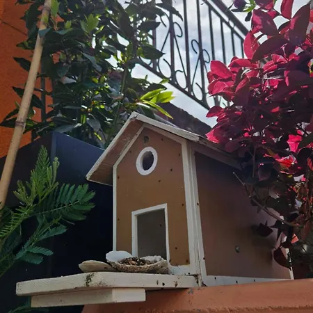 Appartement Mexicana Yellow