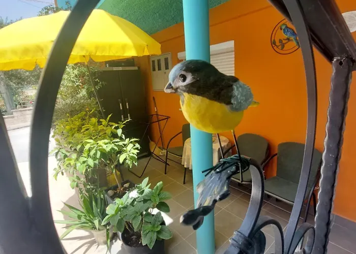 Mexicana Yellow Apartmán