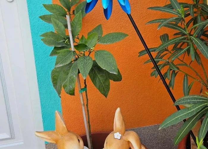 Mexicana Yellow ザダル