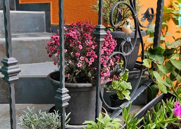 Mexicana Yellow アパート