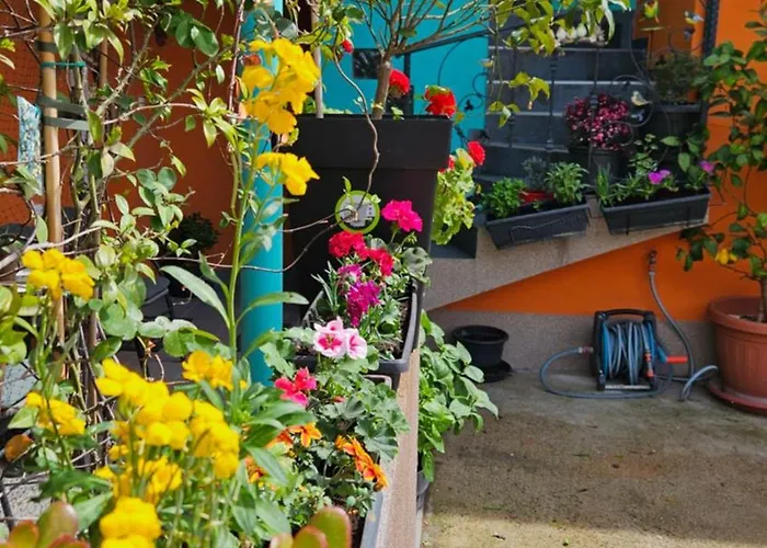 アパート Mexicana Yellow